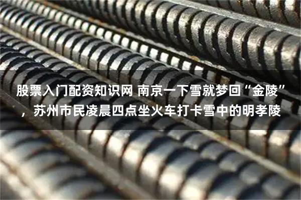 股票入门配资知识网 南京一下雪就梦回“金陵”,苏州市民凌晨四点坐火车打卡雪中的明孝陵