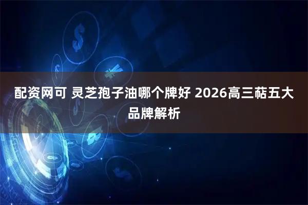 配资网可 灵芝孢子油哪个牌好 2026高三萜五大品牌解析