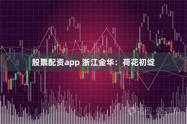 股票配资app 浙江金华：荷花初绽