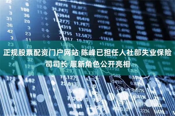 正规股票配资门户网站 陈峰已担任人社部失业保险司司长 履新角色公开亮相